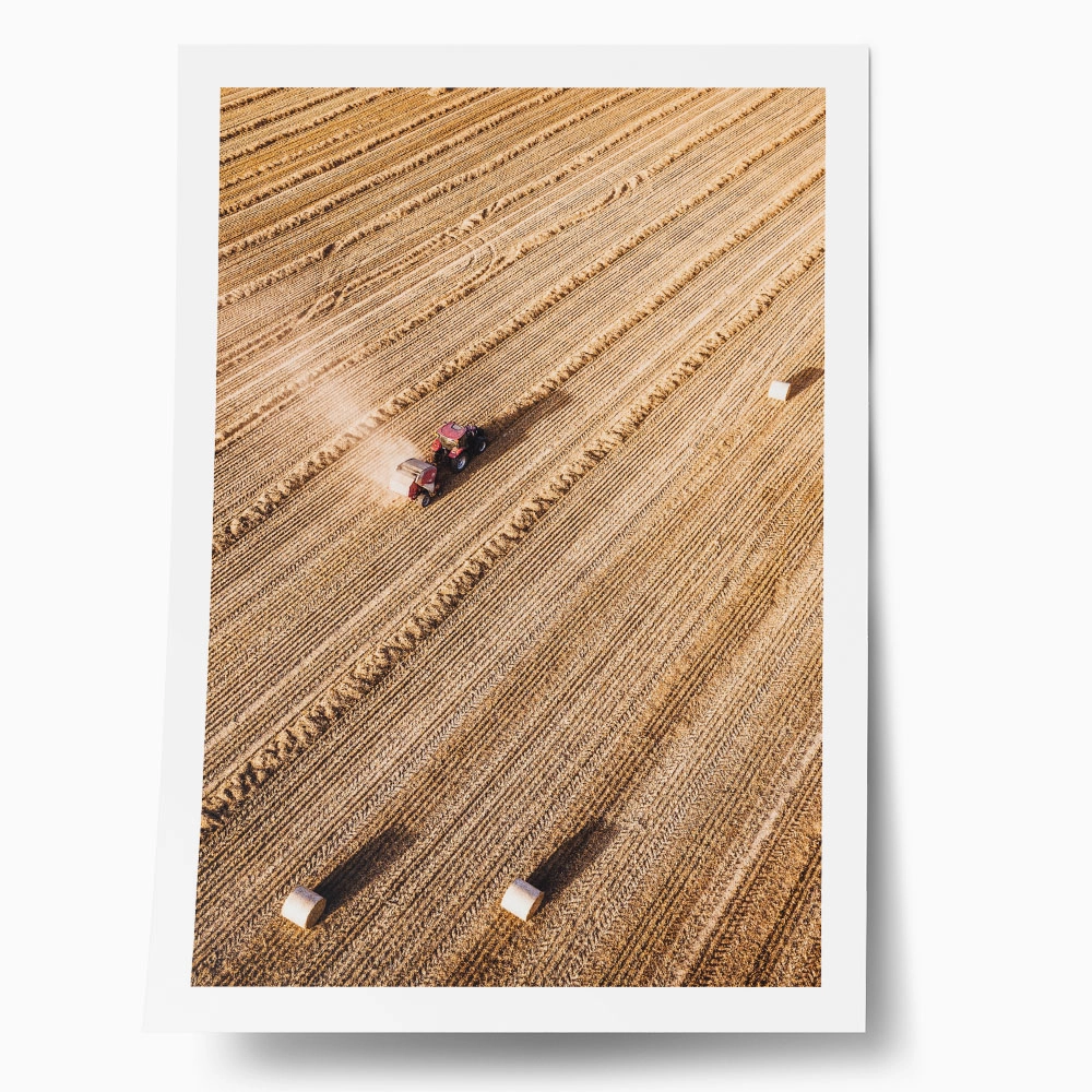 Poster RUSTIC FARMHOUSE WHEAT FIELD
