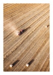 Poster RUSTIC FARMHOUSE WHEAT FIELD