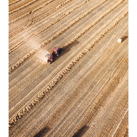 Poster RUSTIC FARMHOUSE WHEAT FIELD -  Sticky 2