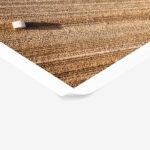 Poster RUSTIC FARMHOUSE WHEAT FIELD