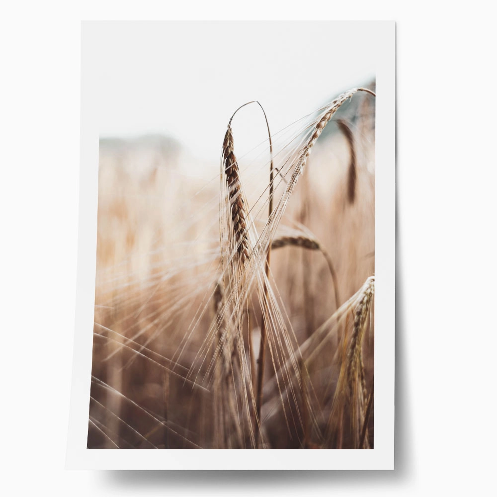 Poster RUSTIC FARMHOUSE WHEAT