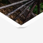 Poster RUSTIC FARMHOUSE WHEEL 2