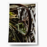 Poster RUSTIC FARMHOUSE WHEEL