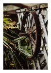 Poster RUSTIC FARMHOUSE WHEEL