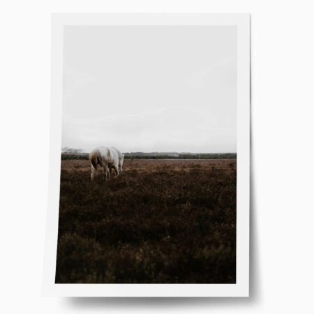 Poster RUSTIC FARMHOUSE WHITE HORSE - 