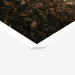 Poster RUSTIC FARMHOUSE WILD BERRIES