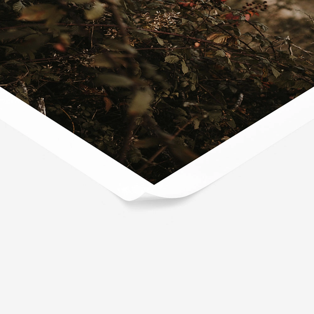 Poster RUSTIC FARMHOUSE WILD BERRIES