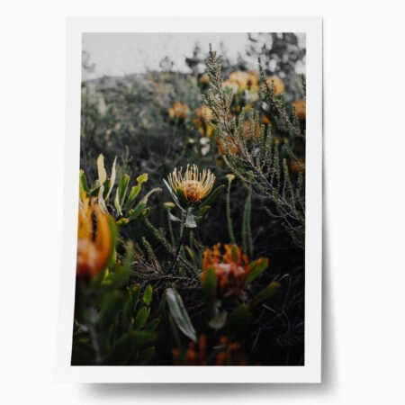 Poster RUSTIC FARMHOUSE WILD FLOWERS - 