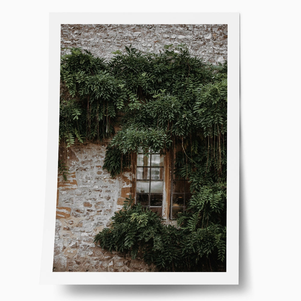 Poster RUSTIC FARMHOUSE WINDOW 3
