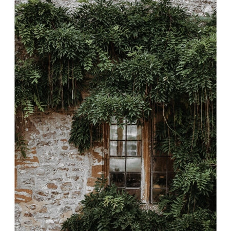 Poster RUSTIC FARMHOUSE WINDOW 3 -  Sticky 2