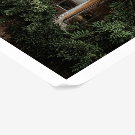 Poster RUSTIC FARMHOUSE WINDOW 3 -  Sticky 1
