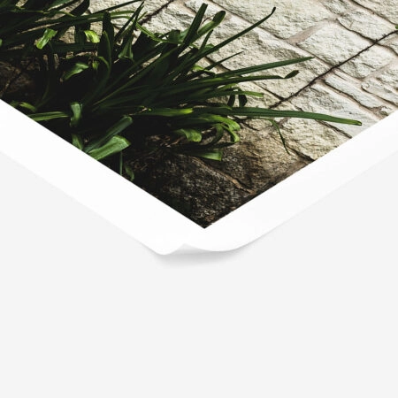 Poster RUSTIC FARMHOUSE WINDOW 8 -  Sticky 1