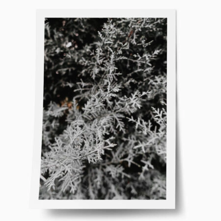 Poster RUSTIC FARMHOUSE WINTER LEAVES - 