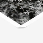 Poster RUSTIC FARMHOUSE WINTER LEAVES