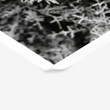 Poster RUSTIC FARMHOUSE WINTER LEAVES -  Sticky 1