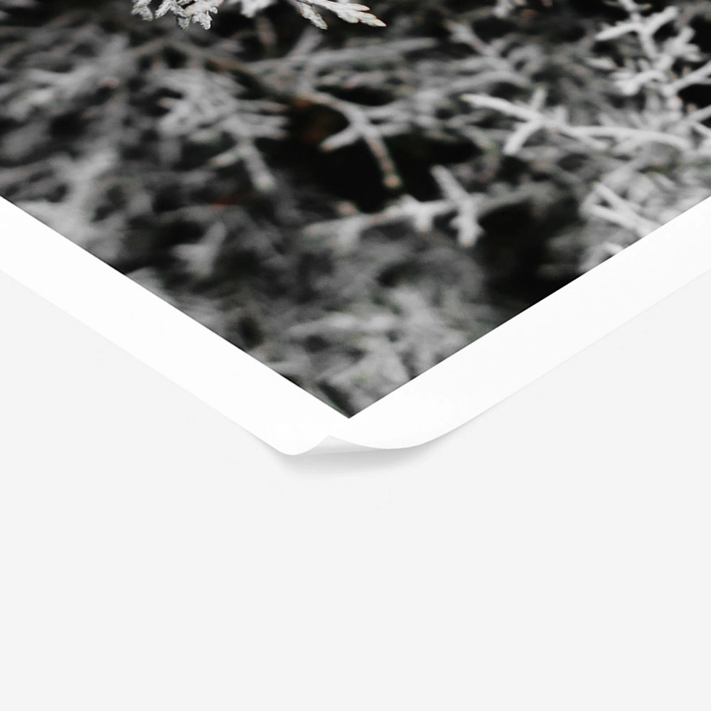 Poster RUSTIC FARMHOUSE WINTER LEAVES