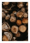 Poster RUSTIC FARMHOUSE WOOD LOGS 11