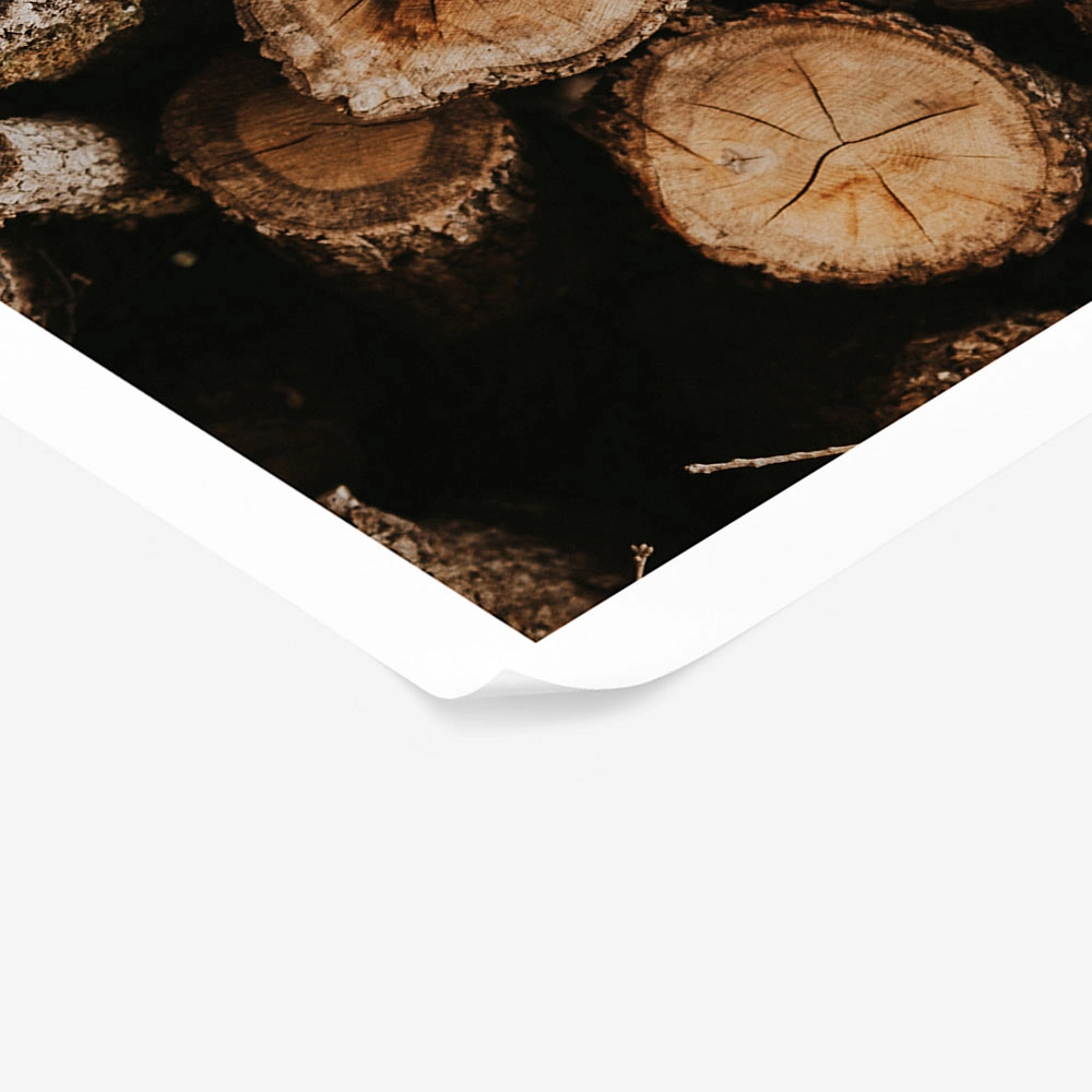Poster RUSTIC FARMHOUSE WOOD LOGS 11