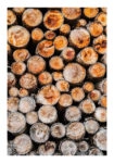 Poster RUSTIC FARMHOUSE WOOD LOGS 13