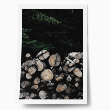 Poster RUSTIC FARMHOUSE WOOD LOGS 3 - 