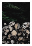Poster RUSTIC FARMHOUSE WOOD LOGS 3