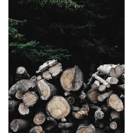 Poster RUSTIC FARMHOUSE WOOD LOGS 3 -  Sticky 2