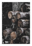 Poster RUSTIC FARMHOUSE WOOD LOGS 5