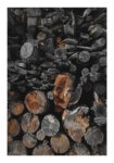 Poster RUSTIC FARMHOUSE WOOD LOGS 6