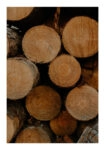 Poster RUSTIC FARMHOUSE WOOD LOGS 8