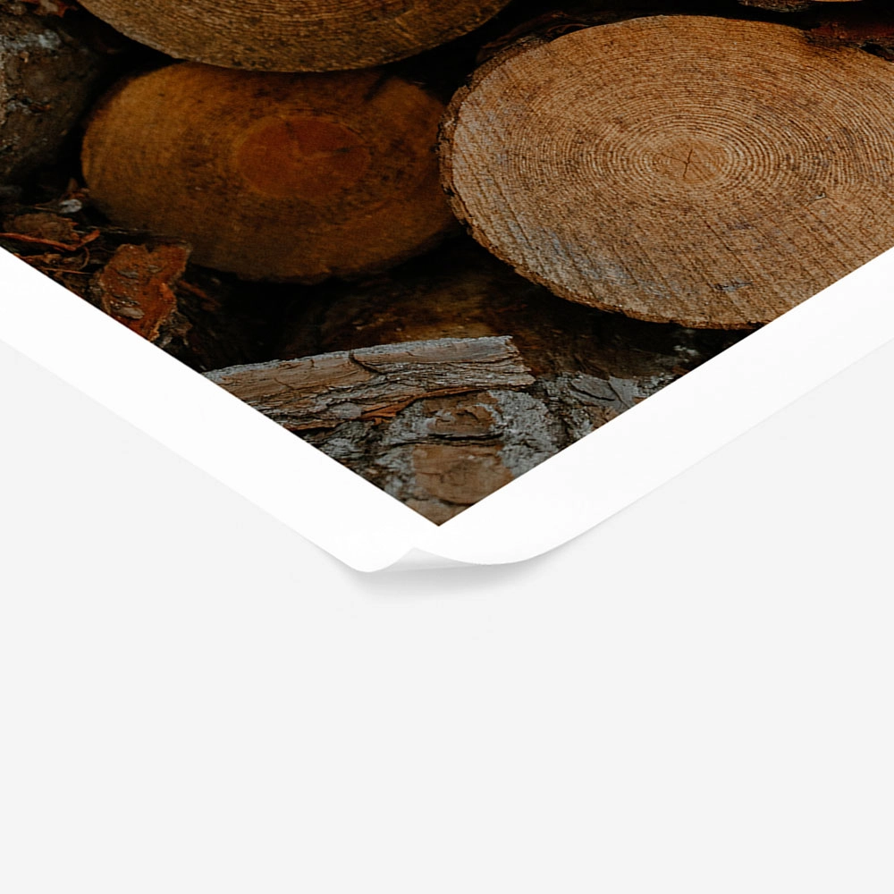 Poster RUSTIC FARMHOUSE WOOD LOGS 8