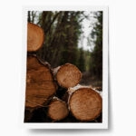 Poster RUSTIC FARMHOUSE WOOD LOGS 9