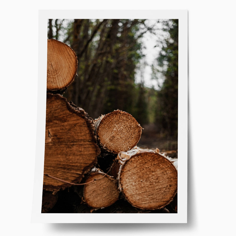 Poster RUSTIC FARMHOUSE WOOD LOGS 9