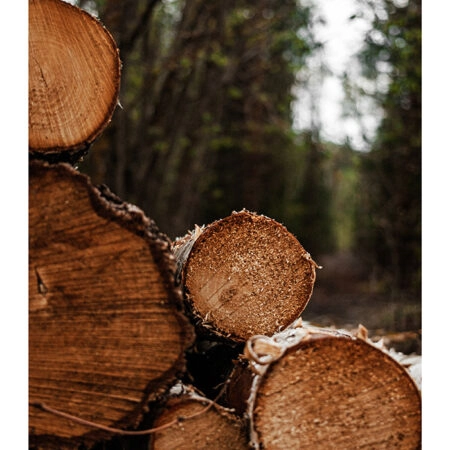 Poster RUSTIC FARMHOUSE WOOD LOGS 9 -  Sticky 2