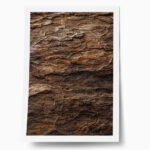 Poster RUSTIC FARMHOUSE WOOD TEXTURE 2