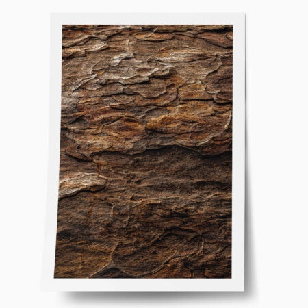 Poster RUSTIC FARMHOUSE WOOD TEXTURE 2 - 
