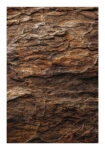 Poster RUSTIC FARMHOUSE WOOD TEXTURE 2
