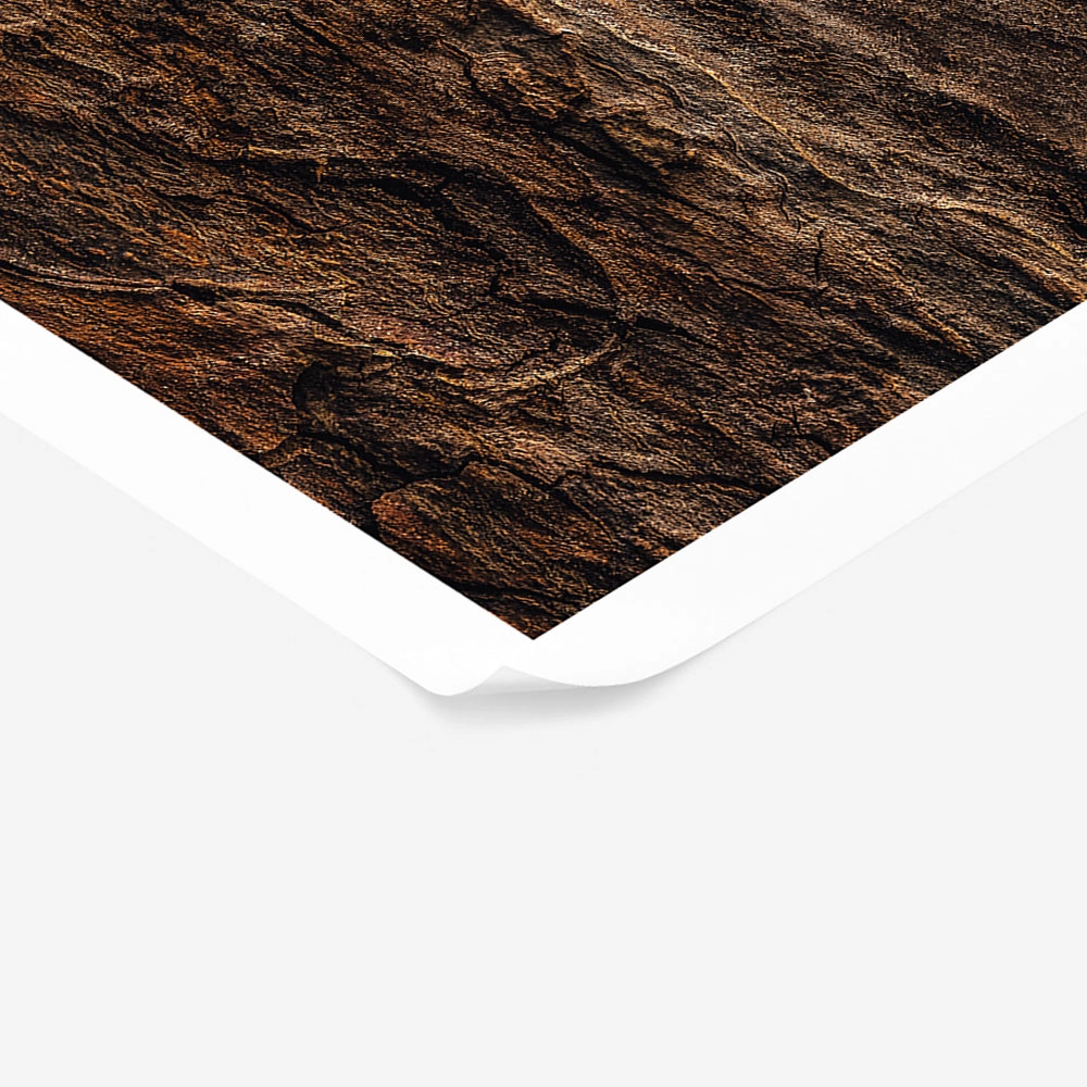 Poster RUSTIC FARMHOUSE WOOD TEXTURE 2