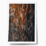 Poster RUSTIC FARMHOUSE WOOD TEXTURE 3