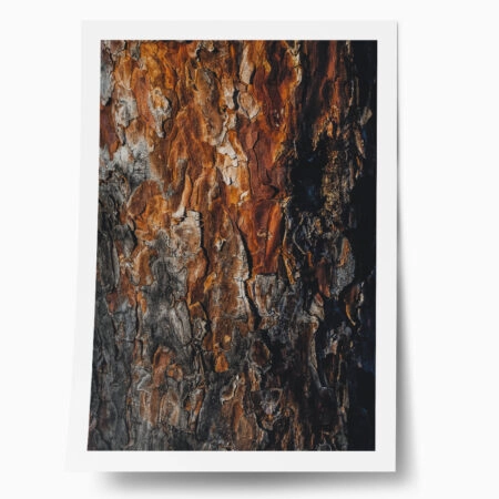 Poster RUSTIC FARMHOUSE WOOD TEXTURE 3 - 