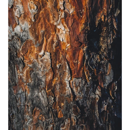 Poster RUSTIC FARMHOUSE WOOD TEXTURE 3 -  Sticky 2