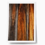 Poster RUSTIC FARMHOUSE WOOD TEXTURE 4
