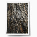 Poster RUSTIC FARMHOUSE WOOD TEXTURE 7