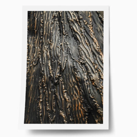 Poster RUSTIC FARMHOUSE WOOD TEXTURE 7 - 