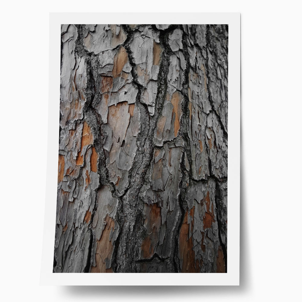 Poster RUSTIC FARMHOUSE WOOD TEXTURE 8