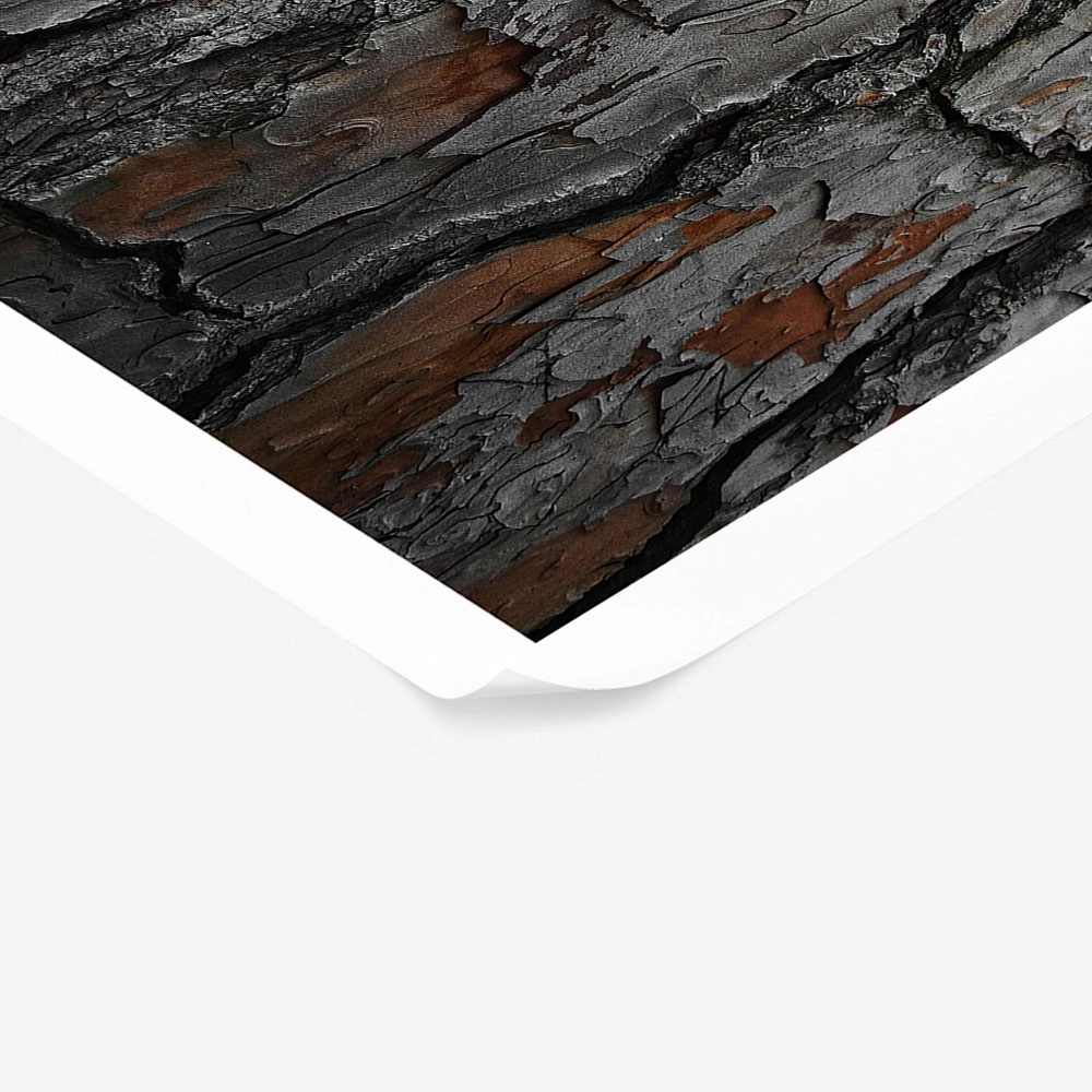 Poster RUSTIC FARMHOUSE WOOD TEXTURE 8