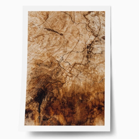 Poster RUSTIC FARMHOUSE WOOD TEXTURE - 