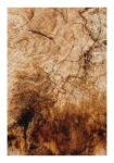 Poster RUSTIC FARMHOUSE WOOD TEXTURE
