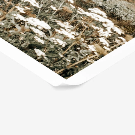 Poster RUSTIC FARMHOUSE WOODEN CABIN 4 -  Sticky 1