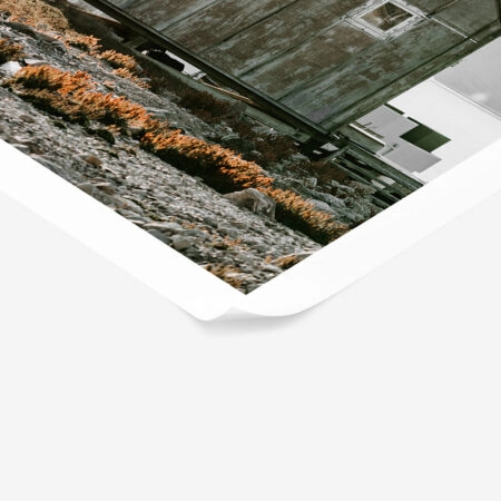 Poster RUSTIC FARMHOUSE WOODEN CABIN -  Sticky 1