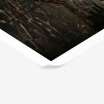 Poster RUSTIC FARMHOUSE YARD